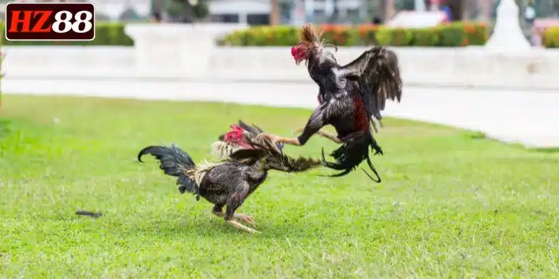 tan-mat-chung-kien-nhieu-chien-binh-da-ga-cua-sat